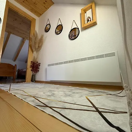 Ferienhaus Otoka Josikovic *